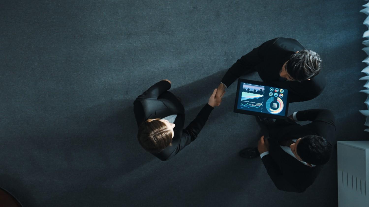 Cyber Crime Consultation